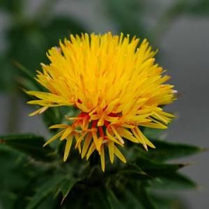 Meet your Posher, Dat